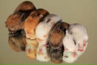 Фотография Котовой Алёны