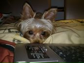 Оленка Колупаєва фотография #36 (источник - https://vk.com/id12729110)