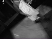 Фотография Олейник Натальи