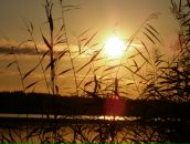 Фотография Смирновой Наталии