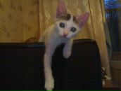 Фотография Чиковой Анны