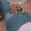 Фотография Сейбатова Юрия