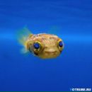 Фотография Морозовой Юли