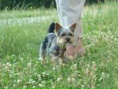 Фотография Сивашовой Надежды