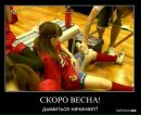 Олександр Коліс фотография #38 (источник - https://vk.com/id87375678)