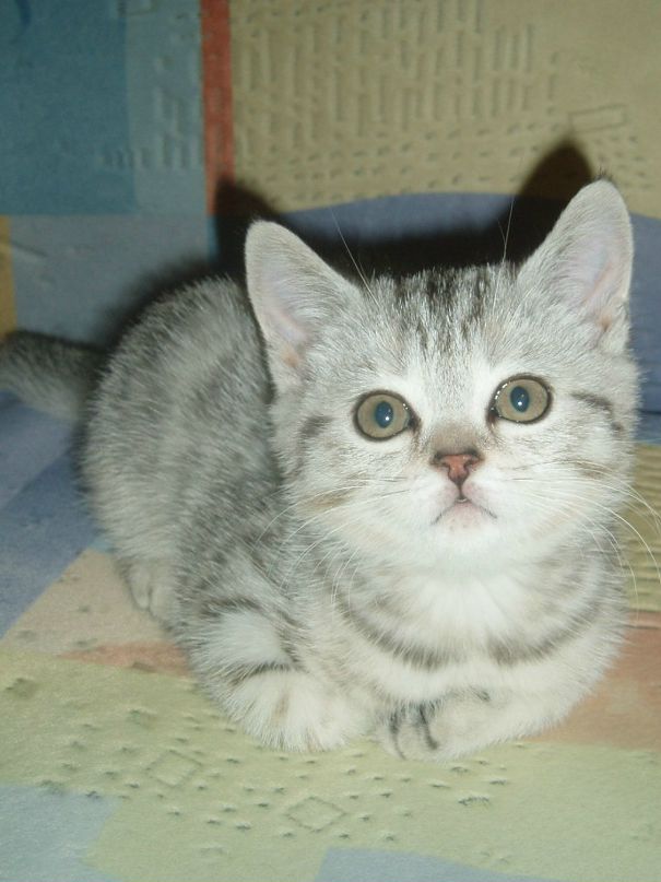 Сергей Пушняков фотография #45