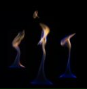 Фотография Кожевникова Валерия