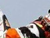 Олександр Тіхтей фотография #49 (источник - https://vk.com/id94283041)