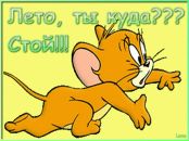 Анастасія Чмут фотография #35 (источник - https://vk.com/id67907760)