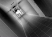 Фотография Bundaberg Peachee