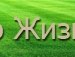 Сергій Яворський фотография #28 (источник - https://vk.com/id159200145)