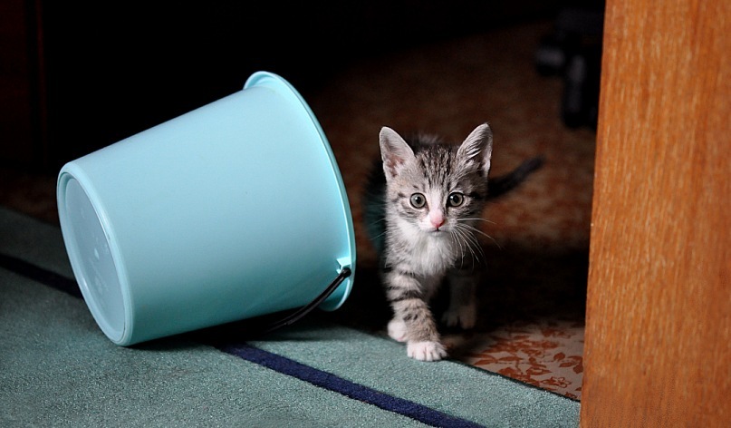 Andre Andre фотография #38