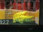 Макс Минаков фотография #26 (источник - https://vk.com/id128976)