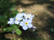 Фотография Котковой Оксаны