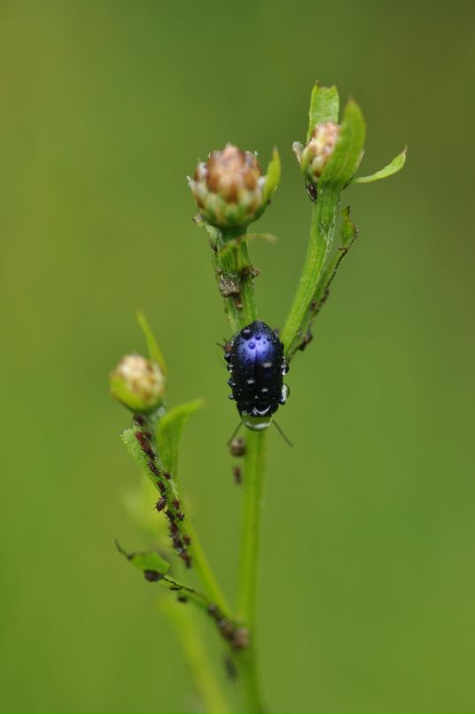 Юля Бойко фотография #49