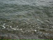 Андрій Клебан фотография #44 (источник - https://vk.com/id8874620)