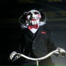 Фотография Кот Марья