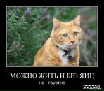 Фотография Тарасовой Анны