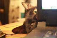 Діма Прокопчук фотография #35 (источник - https://vk.com/id147006226)