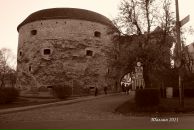 Ray Mirror фотография #22 (источник - https://vk.com/id3393687)