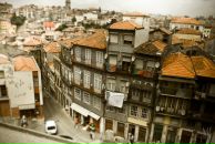 Фотография Андриенко Вероники