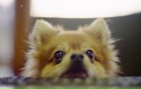 Фотография Лукин Никита