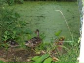 Фотография Зубович Ольги