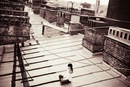 Фотография Любимой Анны