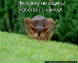 Фотография Мусатовой Натальи