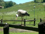 Наталія Яремків фотография #38 (источник - https://vk.com/id96030317)