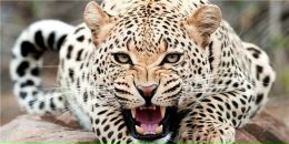 Shit Happens фотография #39 (источник - https://vk.com/id3851077)