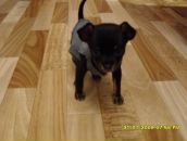 Фотография Завьялов Владислав