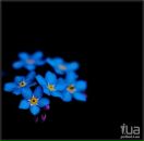 Фотография Макаровой Евгении