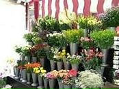 Іра Захарчук фотография #28 (источник - https://vk.com/id78459930)