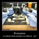 Марія Воробій фотография #4 (источник - https://vk.com/id161321033)