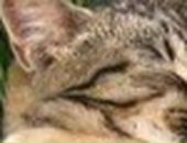 Андрій Смерека фотография #2 (источник - https://vk.com/id91039457)