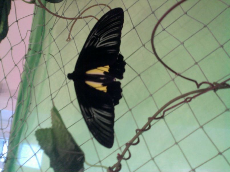 Катя Клименко фотография #18