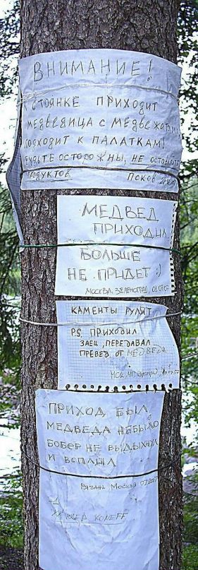 Александр Федотов фотография #31