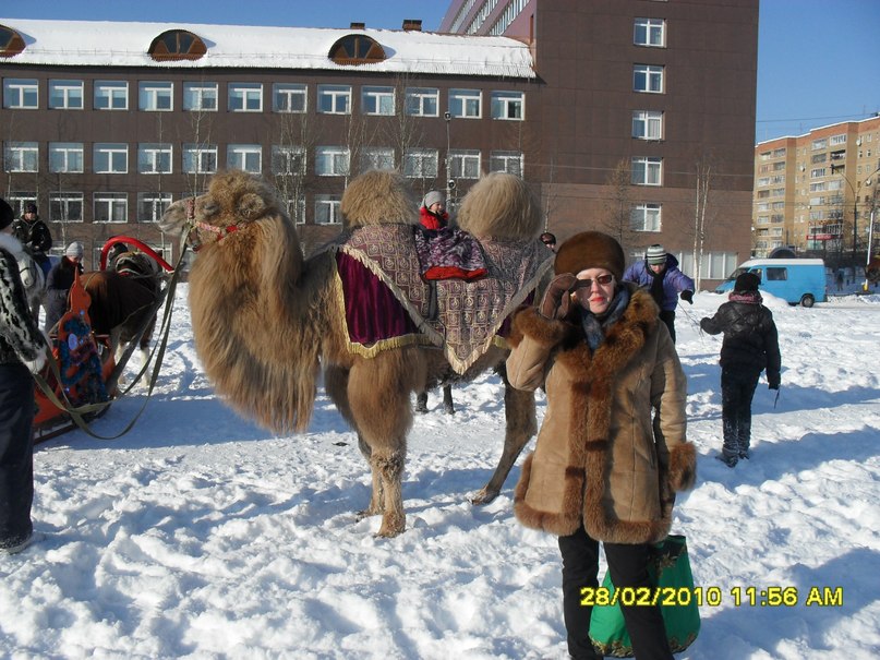 Сергей Адов фотография #17