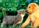 Лілія Левицька фотография #30 (источник - https://vk.com/id9868856)