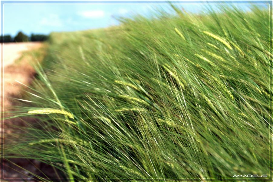 Евгений Сивец фото №13