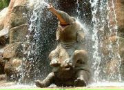 Фотография Ринки Мы