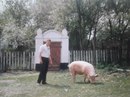 Андрій Сесмій фотография #41 (источник - https://vk.com/id169536234)