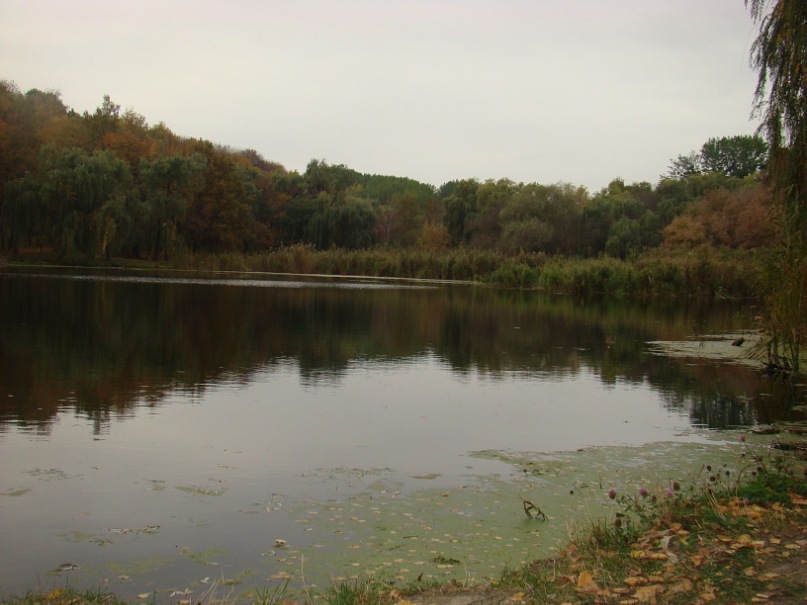 Igor Oleksenko фотография #46