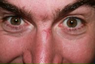 Фотография Иващенко Андрея