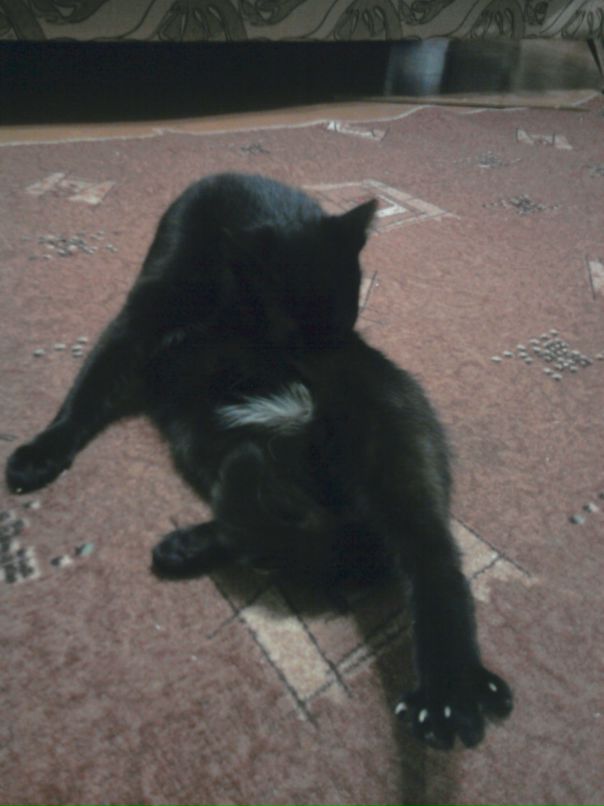 Павел Богдашенко фотография #41