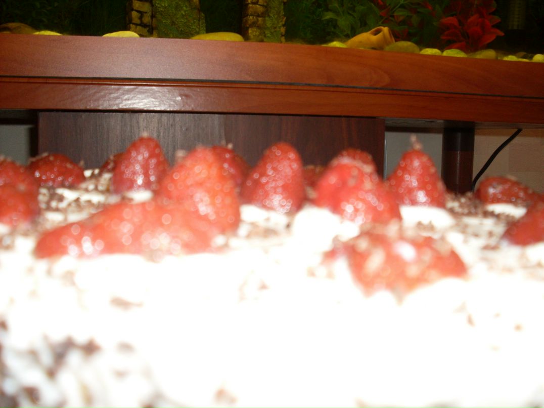 Евгений Донсков фотография #41