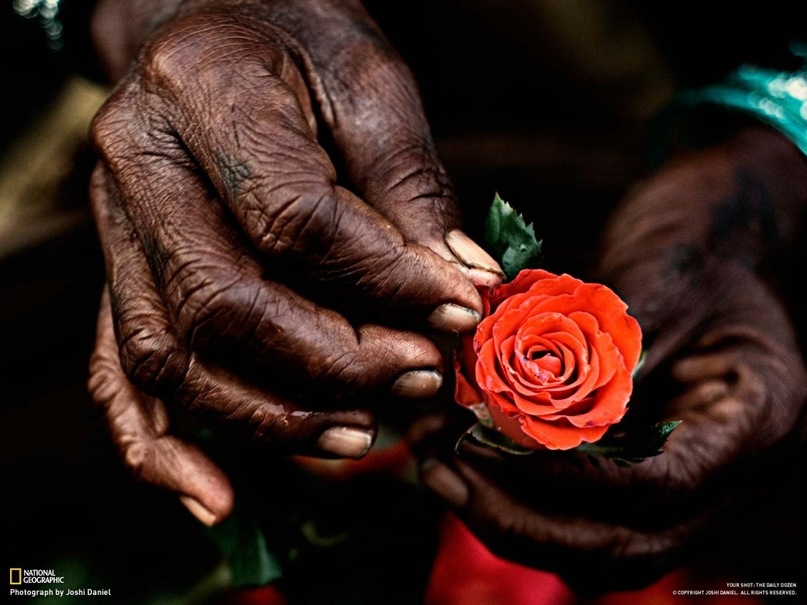 Амина Лазба фотография #41