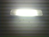 Айдар Баширов фотография #38 (источник - https://vk.com/id3944411)