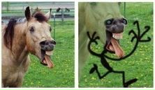 Ігор Полюхович фотография #20 (источник - https://vk.com/id9321335)